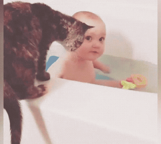 Cat Baby GIF - Cat Baby Come Here GIFs