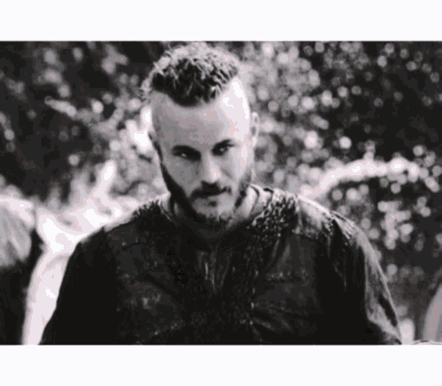 King Ragnar GIF - King Ragnar GIFs