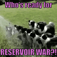 a group of border collies standing in a grassy field with a caption that says who 's ready for reservoir war