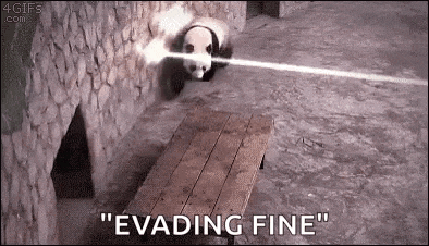 a panda bear is sitting on a wooden bench with a laser beam coming out of it 's eyes .