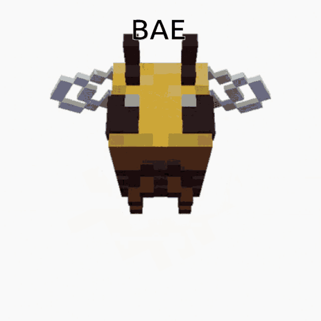 a picture of a bee from minecraft with the word bae on it