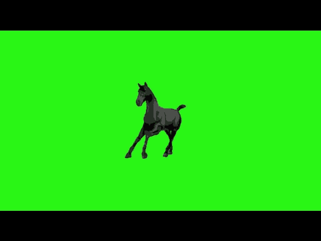 a black horse is standing on a green screen