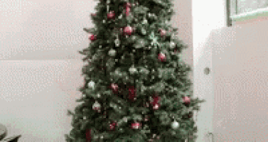 a christmas tree with red and white ornaments is sitting in a living room .