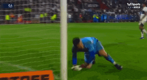 a soccer player in a blue jersey is standing on the field .