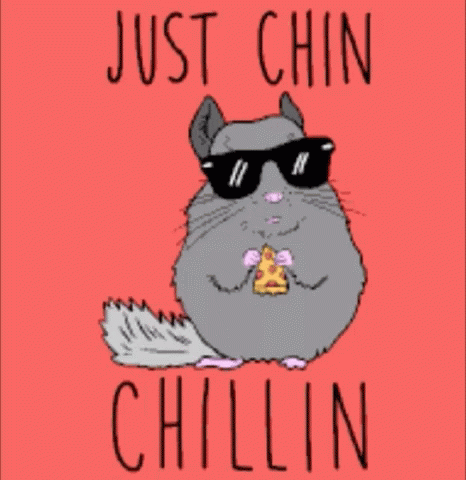Just Chillin Pizza Rat GIF - Just Chillin Pizza Rat GIFs