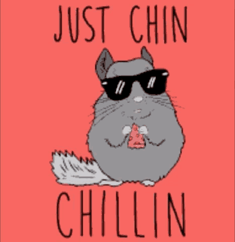 a chinchilla wearing sunglasses is eating a piece of pizza
