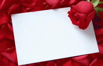 я тебя люблю любовь открытка GIF - Love Letter Rose GIFs