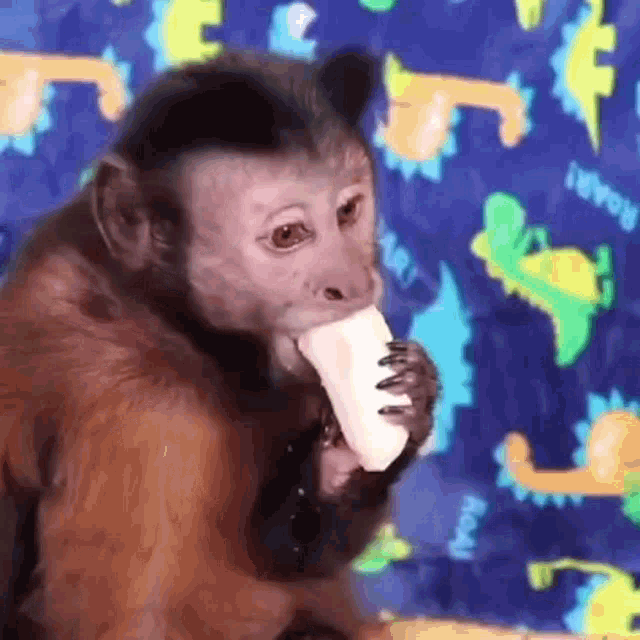 a monkey is eating a banana on a bed with dinosaurs on it .