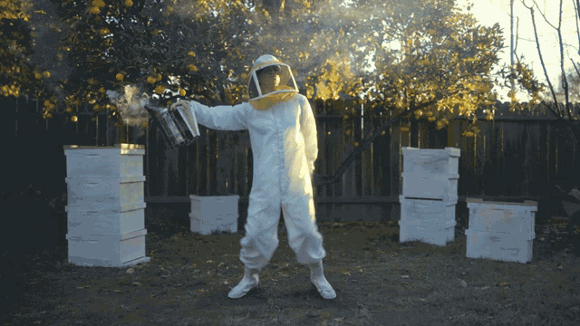 Dance Bee Keeper GIF - Dance Bee Keeper Happy GIFs