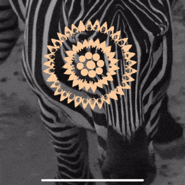 a black and white photo of a zebra with a sunflower design
