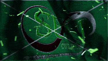 a green background with the letters s and t embroidered on it