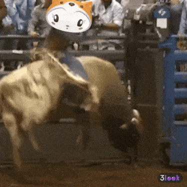 a person riding a bull in a rodeo with a 3look sticker on the bottom right