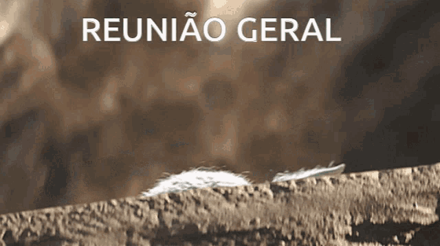 a brown background with the words reuniao geral written on it