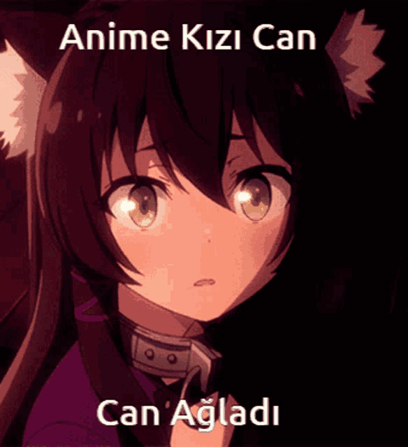Anime Kızıcan Can Ağladı GIF