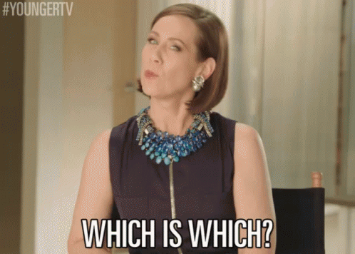 Which Is Which? GIF - Miriam Shor Diana Trout Which One GIFs