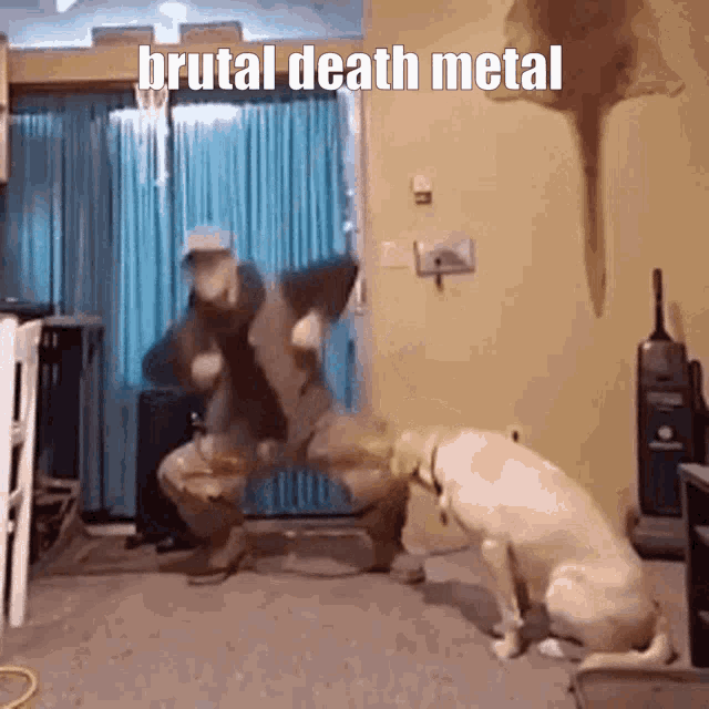 Death Metal Brutal Death Metal GIF - Death Metal Brutal Death Metal Metal GIFs