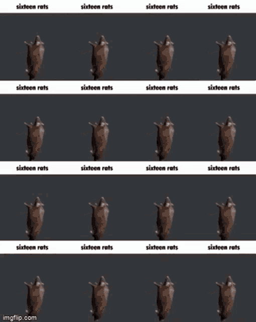 Rats Spinning GIF - Rats Spinning Gif GIFs