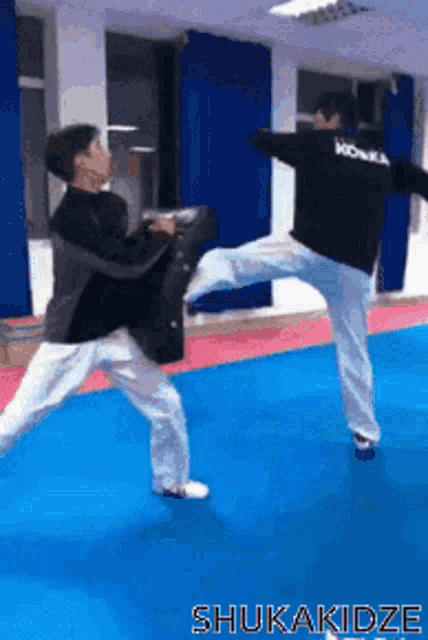 Merabshukakidze Taekwondo GIF - Merabshukakidze Shuka Merab GIFs