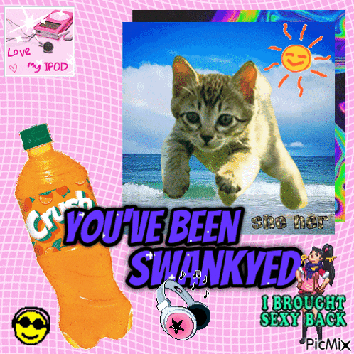 a picture of a cat and a crush orange bottle