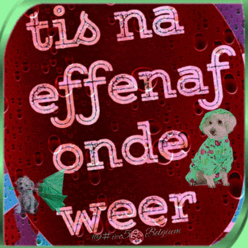 a picture of a dog holding an umbrella with the words " tis na effenaf onde weer " on it