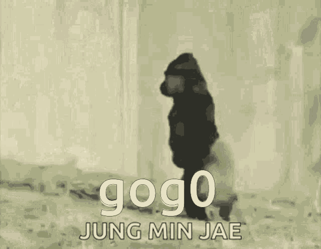 Gog0 Monkey GIF - Gog0 Gog Monkey GIFs