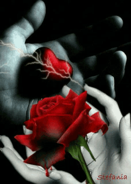 a person is holding a red rose and a broken heart