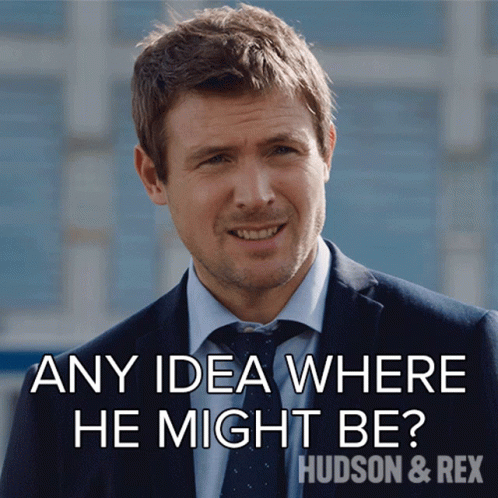 Any Idea Where He Might Be Charlie Hudson GIF - Any Idea Where He Might Be Charlie Hudson Hudson And Rex GIFs