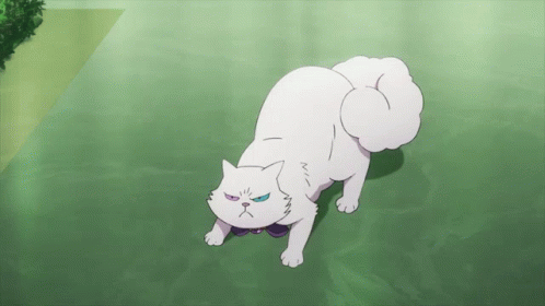 Murr Anime GIF - Murr Anime Cat GIFs