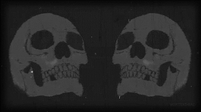 Skulls GIF - Scary Creepy Skull GIFs