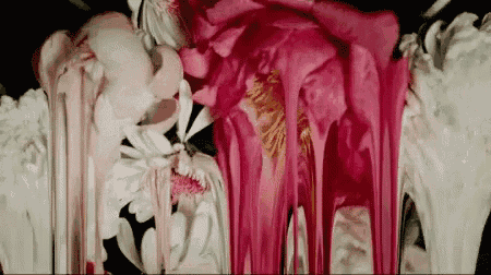 a close up of a painting of pink and white flowers