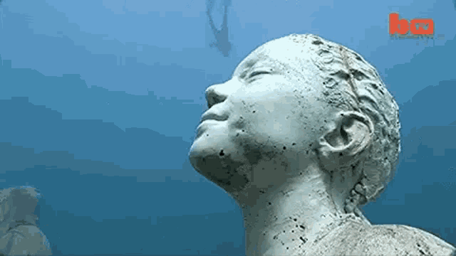 a statue of a woman 's head is floating in the water .
