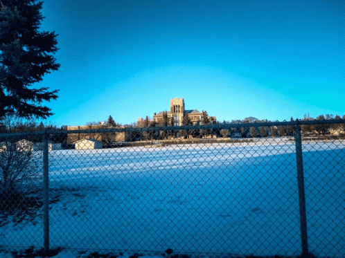 Canada Winter GIF - Canada Winter Snow GIFs