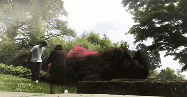 a man and a woman walking in a park