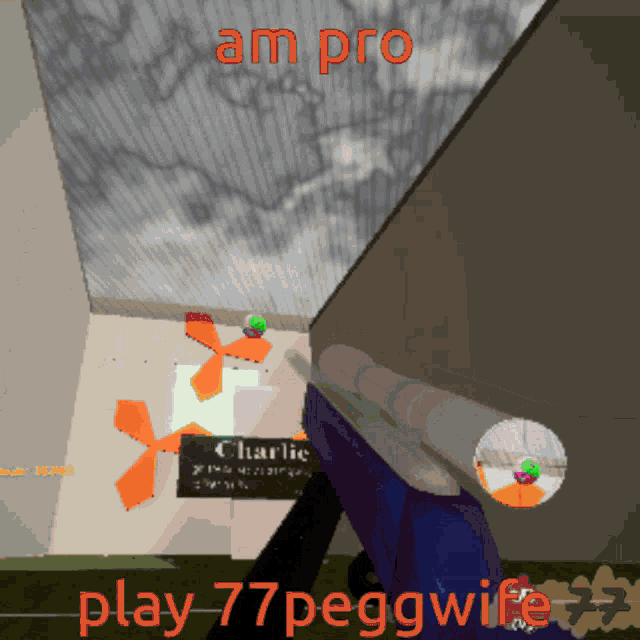 a screenshot of a game that says am pro play 77peggwife 77
