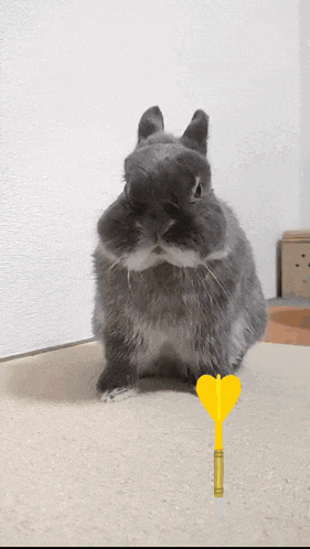a rabbit is sitting on the floor with a yellow heart shaped dart in front of it