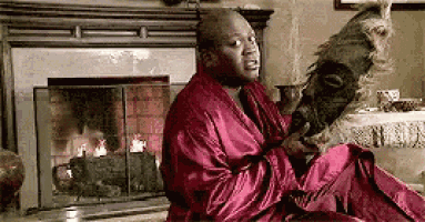 a man in a red robe is sitting in front of a fireplace holding a cat .