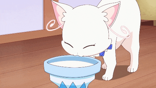 a white cat is drinking milk from a blue cup