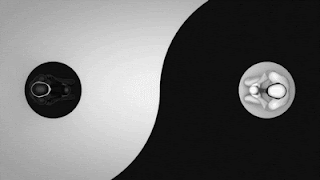 Symbol Yin Yang GIF - Symbol Yin Yang GIFs