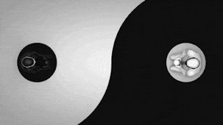 a black and white yin yang symbol with two circles on it