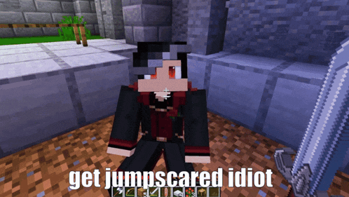 a picture of a minecraft character with the words get jumpscared idiot below it