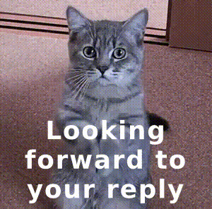 Looking Forward To Your Reply GIF - Looking Forward To Your Reply GIFs