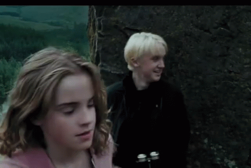 Hermione Harry Potter GIF - Hermione Harry Potter Draco GIFs