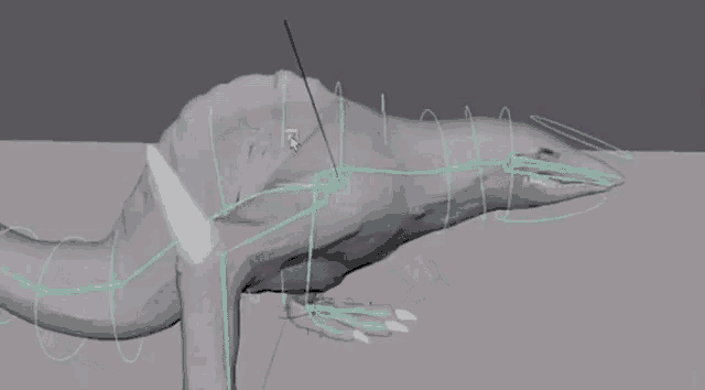 a 3d model of a dolphin is being animated in a computer .