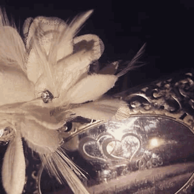 a feathered flower is sitting on top of a mirror that says i love you kiss