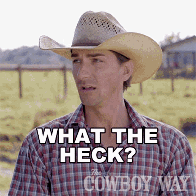 What The Heck Cody Harris GIF - What The Heck Cody Harris The Cowboy Way GIFs