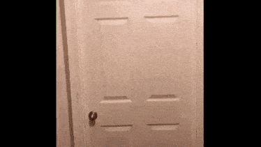 a white door with a knob on it