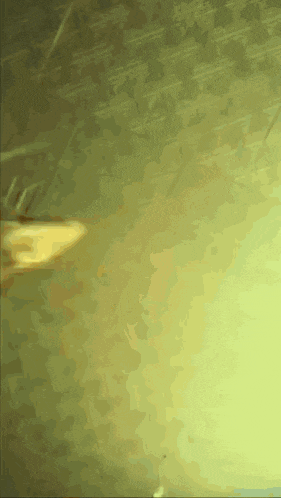 a yellow background with a few spots of light