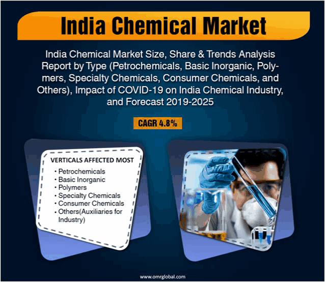 india chemical market size share & trends analysis report by type ( petrochemicals