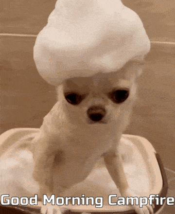 a small dog is taking a bath with foam on its head and the words good morning campfire written below it