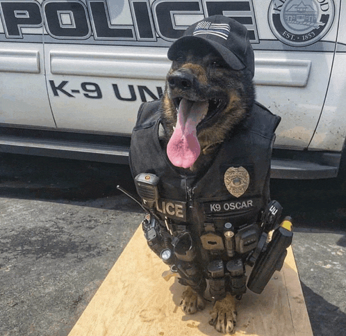 a police dog named k9 oscar sits in front of a k-9 unit